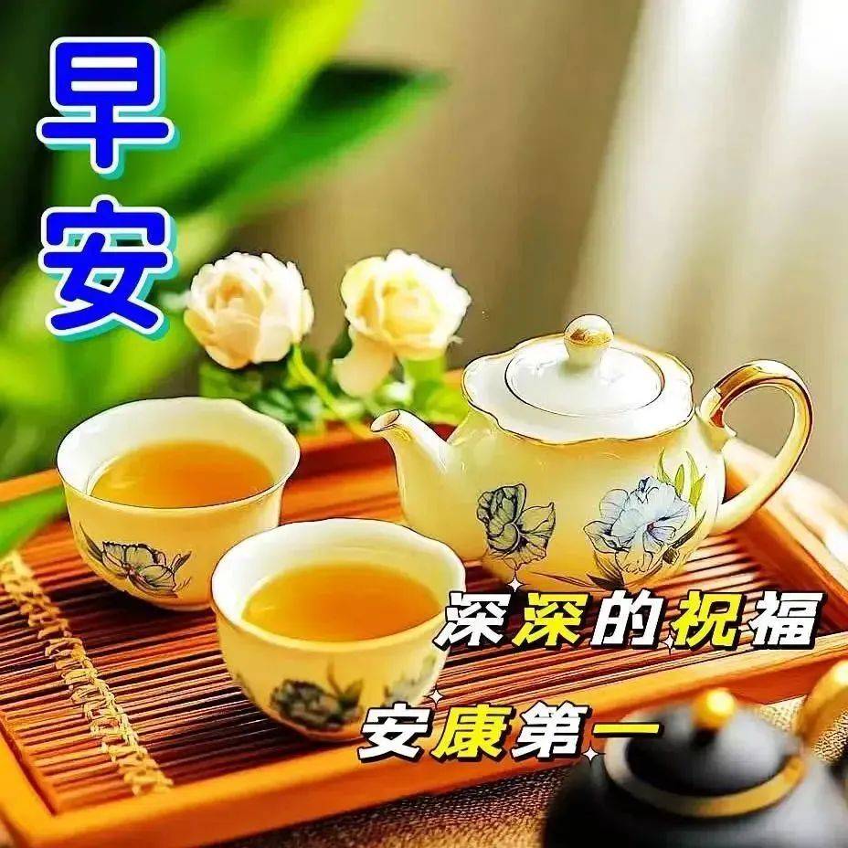 最新的早晨最新版本早上好，选择了照片，安静