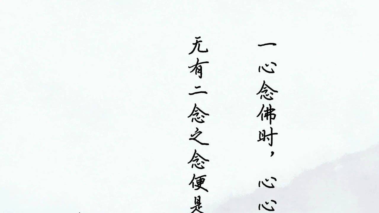 《双峰禅话》|| 无有二念