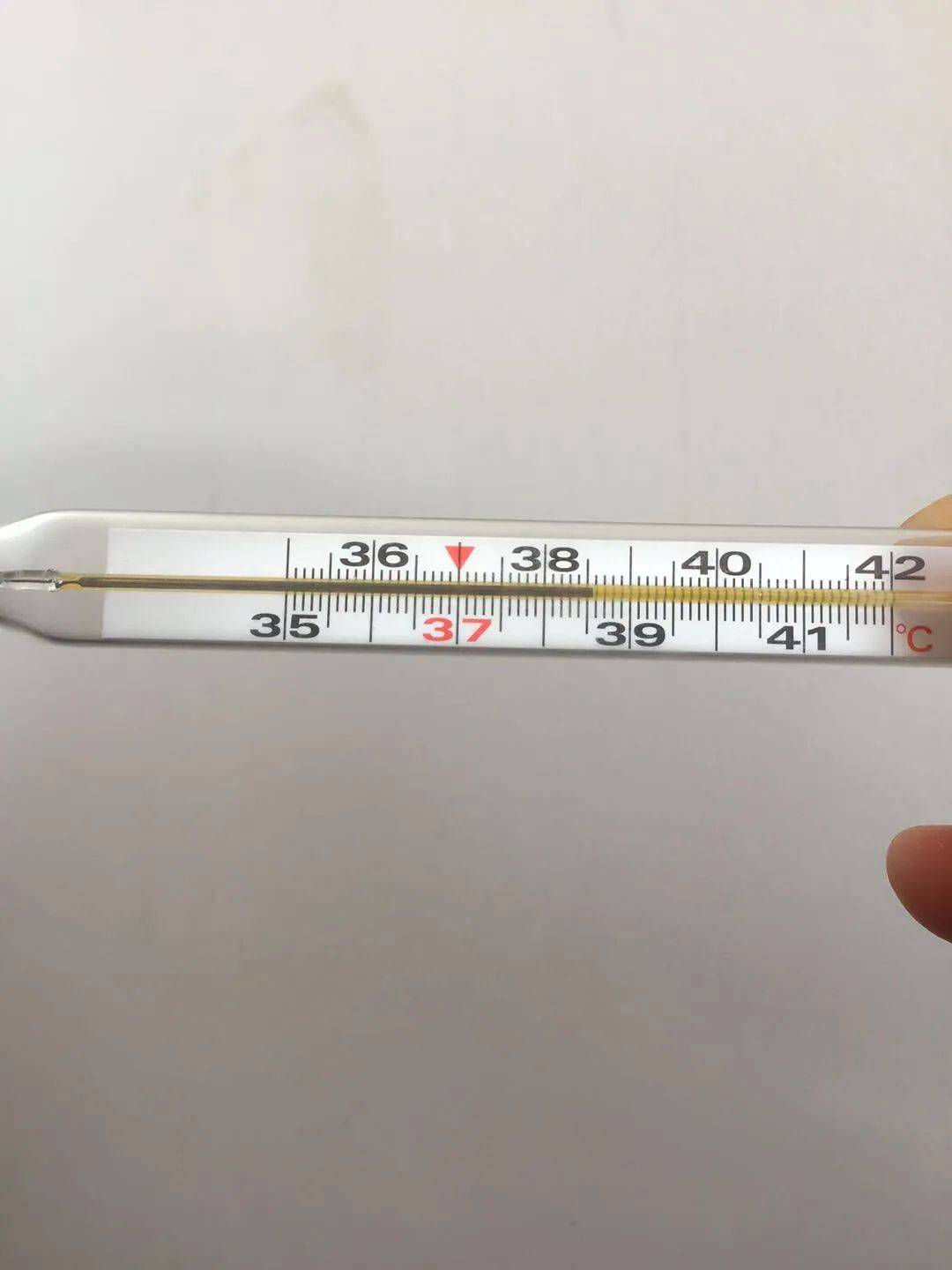 "应付各种请假的专用照片"