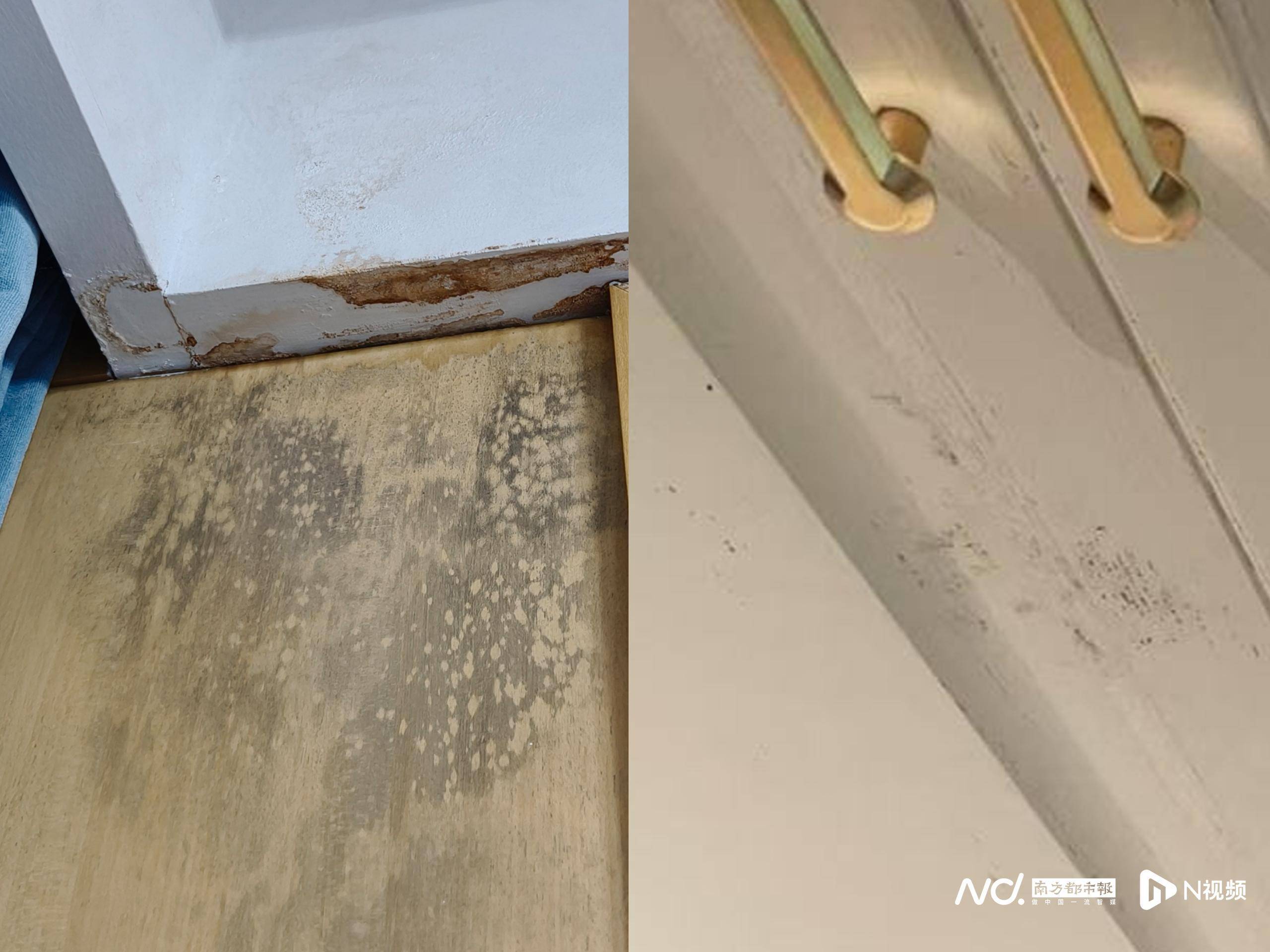 深圳一小区超百户称空调致墙体发霉、地板积水，街道办回应