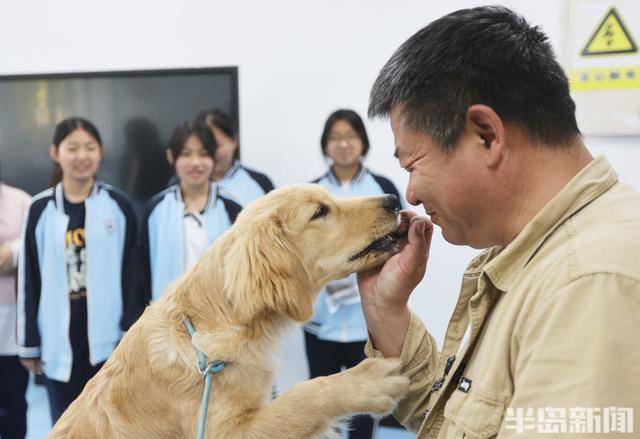 宠物美容进入JN江南app职校课堂毕业后成为高级技工(图3)