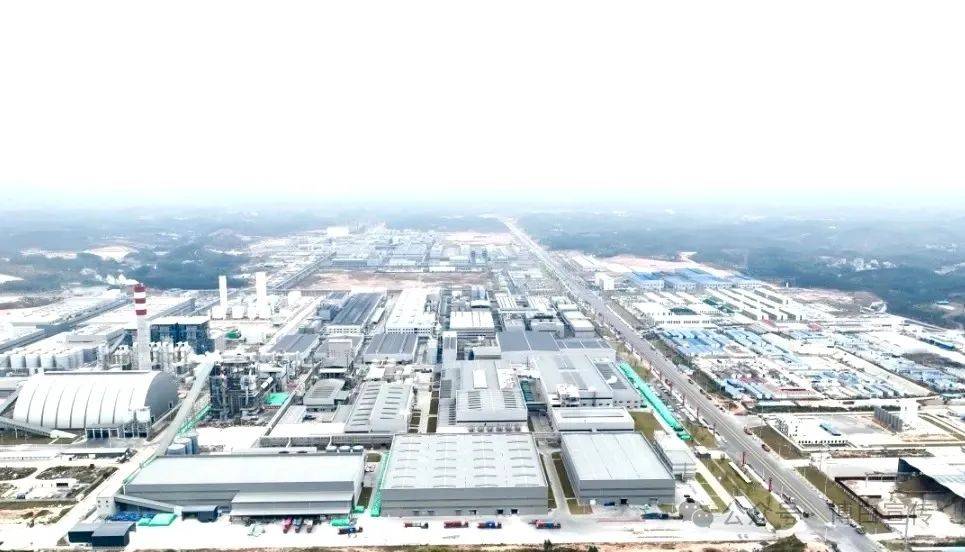 新签约项目38个!2025年一季度博白招商引资实现"开门红"