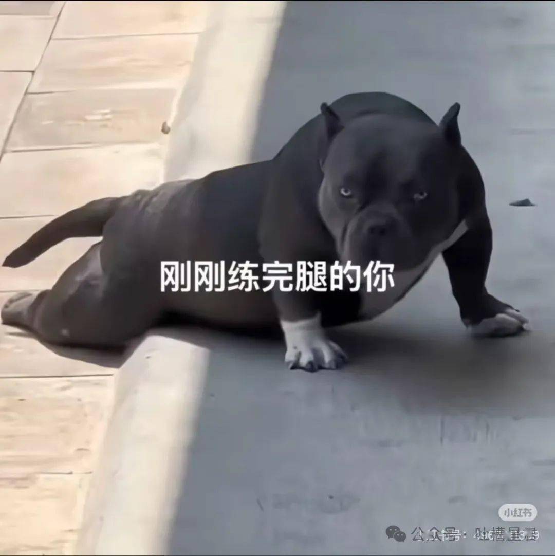 每日一笑:"网购被无良商家欺骗能有多搞笑?