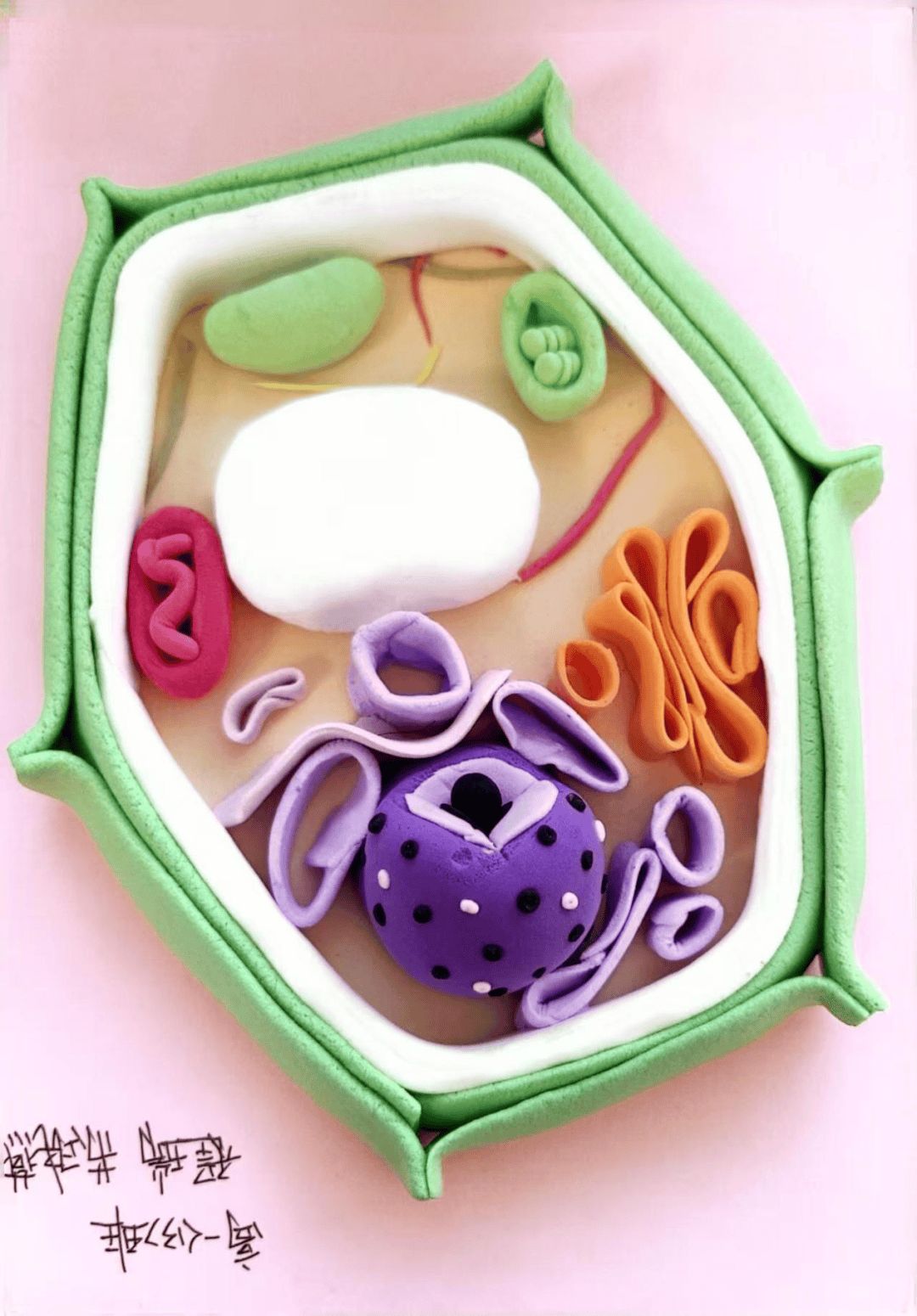 —高一年级生物美术作品创作