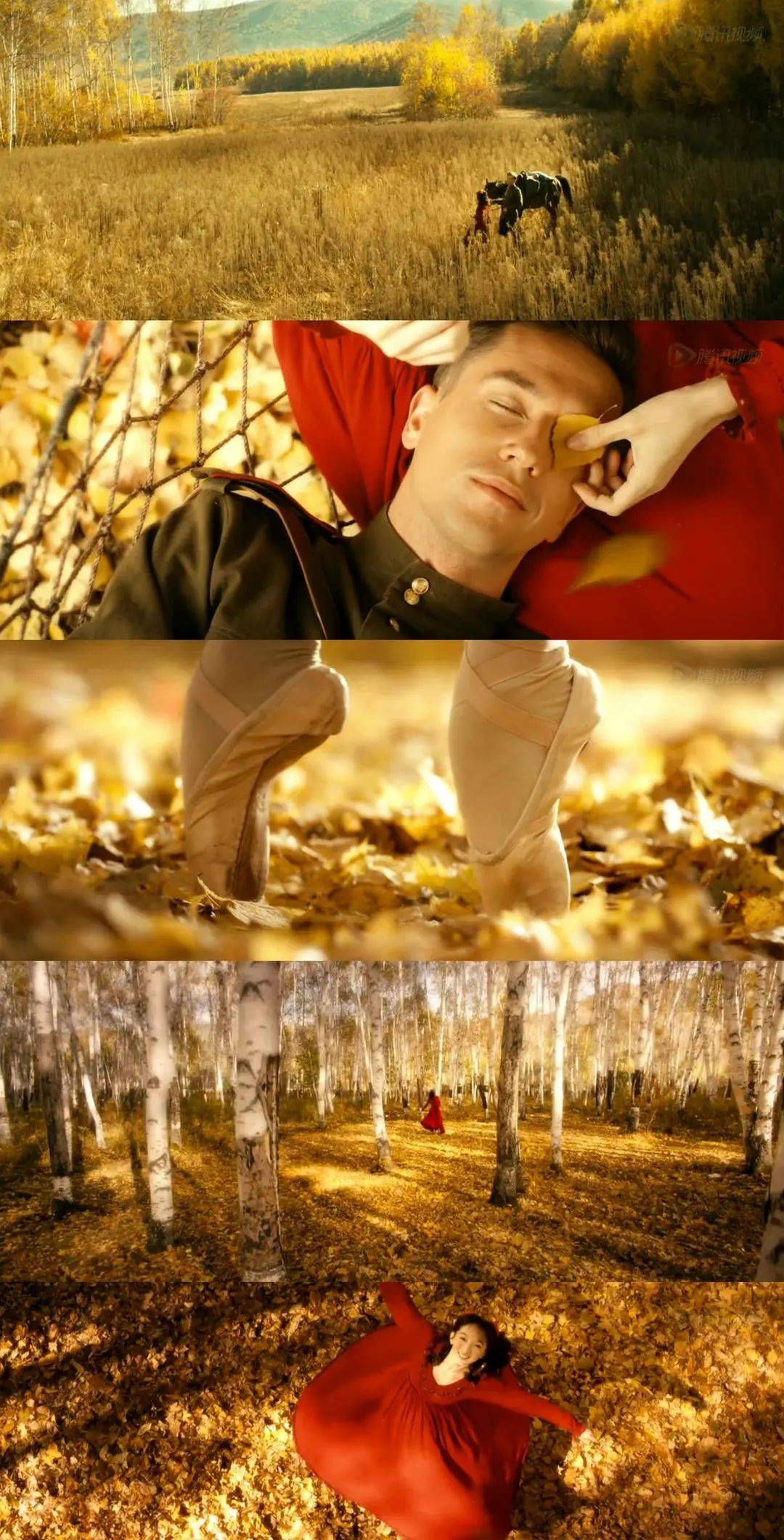 29%,dpph自由基清除率达44.52%,能有效缓解肌