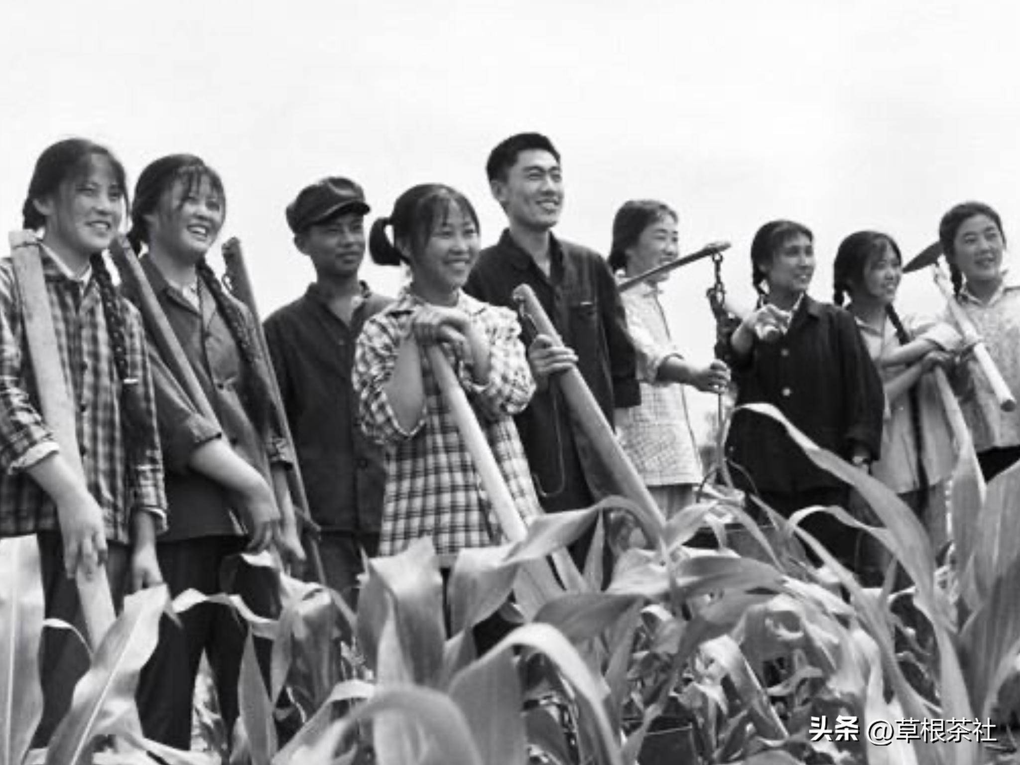 上海知青在延边:那年去森林采蘑菇遭遇不测,差一点我就没命了