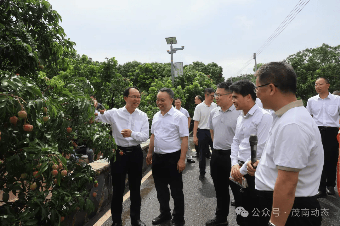 "茂南区委副书记,区长吕国记在启动仪式上表示
