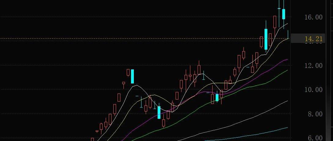 “牛股”2天回调15%！公司：股价严重脱离基本面