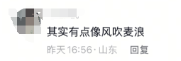 百万粉丝博主怒斥新歌被抄袭：我拿来怀念去世的亲人，你拿来在夜店里蹦迪