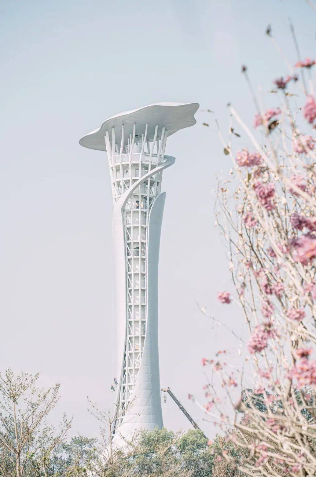 飘云阁,飘云阁破解 论坛 飘云阁,飘云阁破解 论坛