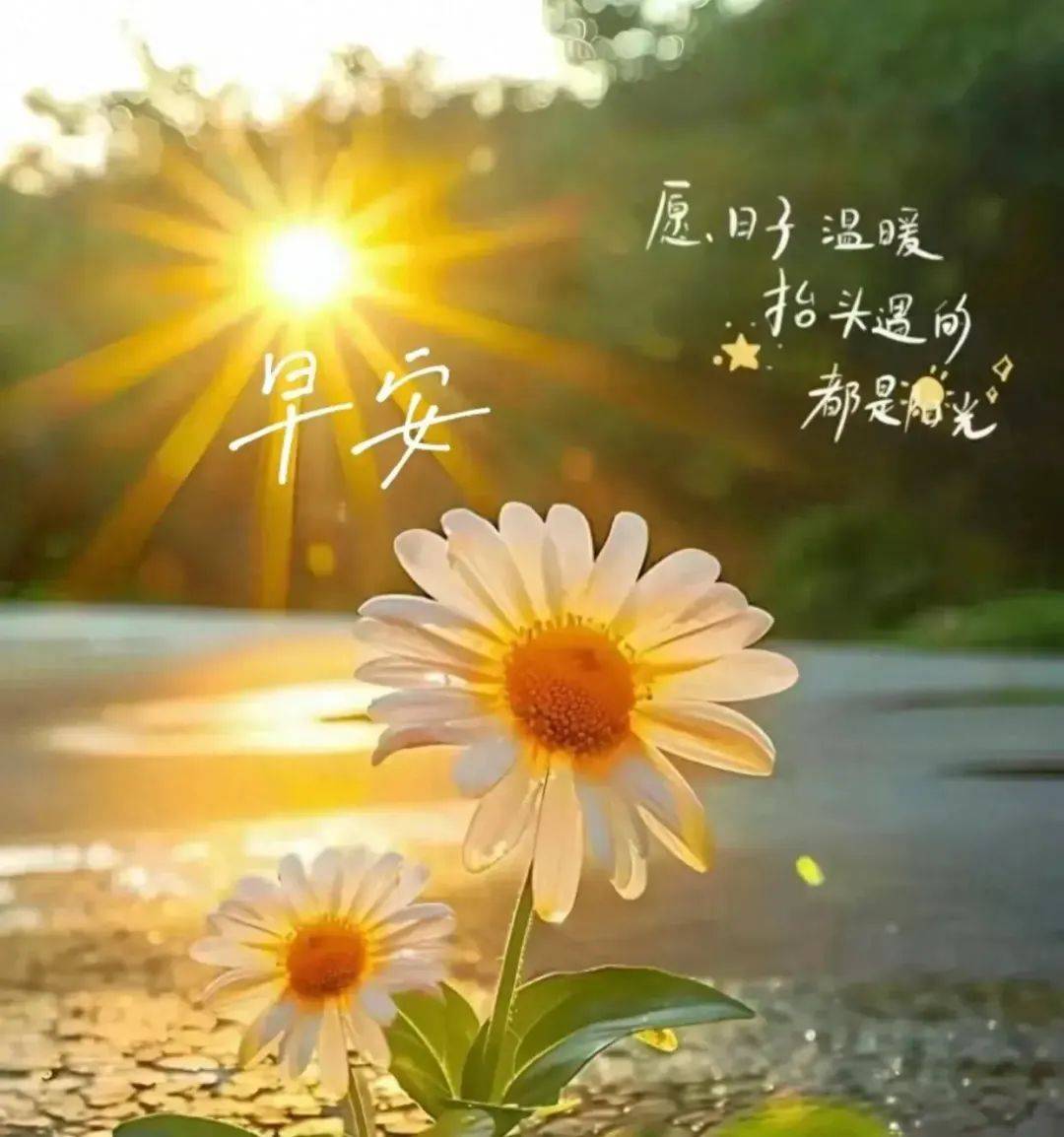 30张2025超漂亮最新版早上好精选祝福图片