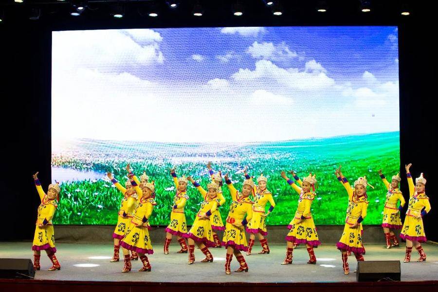 2025年全市社会文艺团体优秀作品展演圆满完成