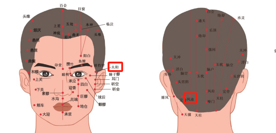 家有考生必看！穴位按摩提神指南，让复习状态拉满