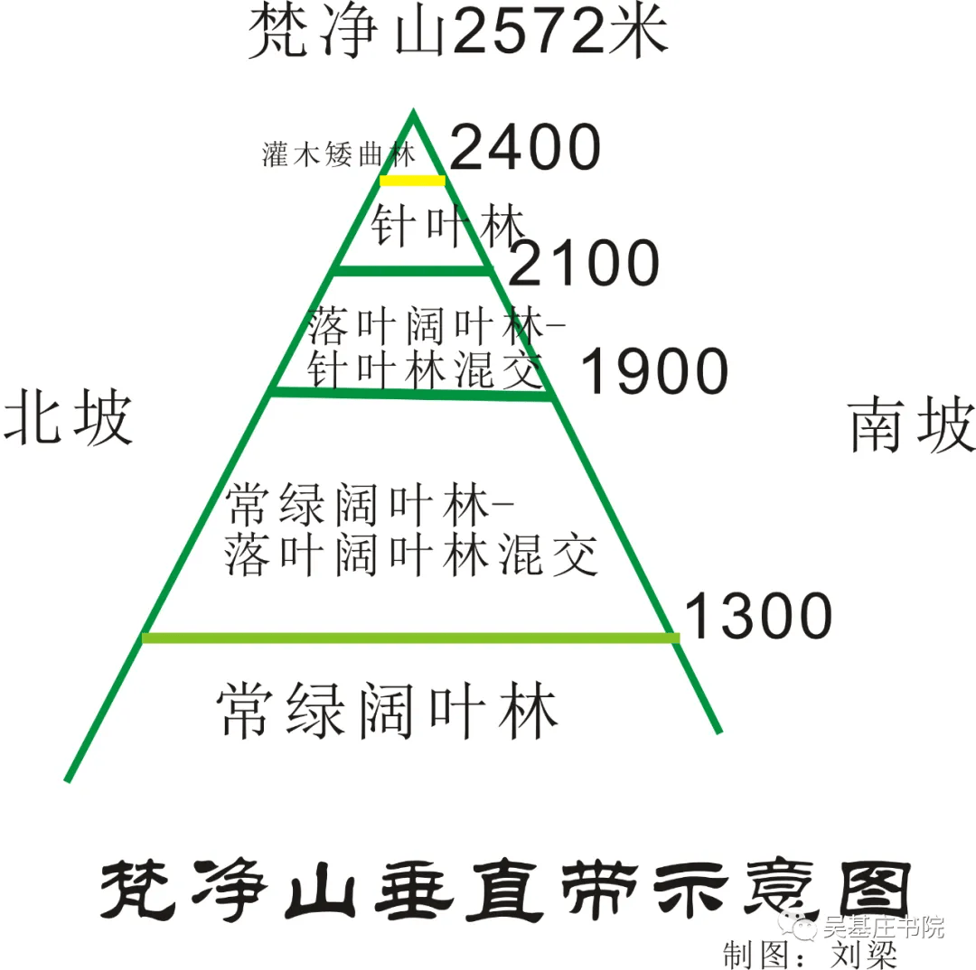 25座国内外山脉的垂直自然带谱,全了!