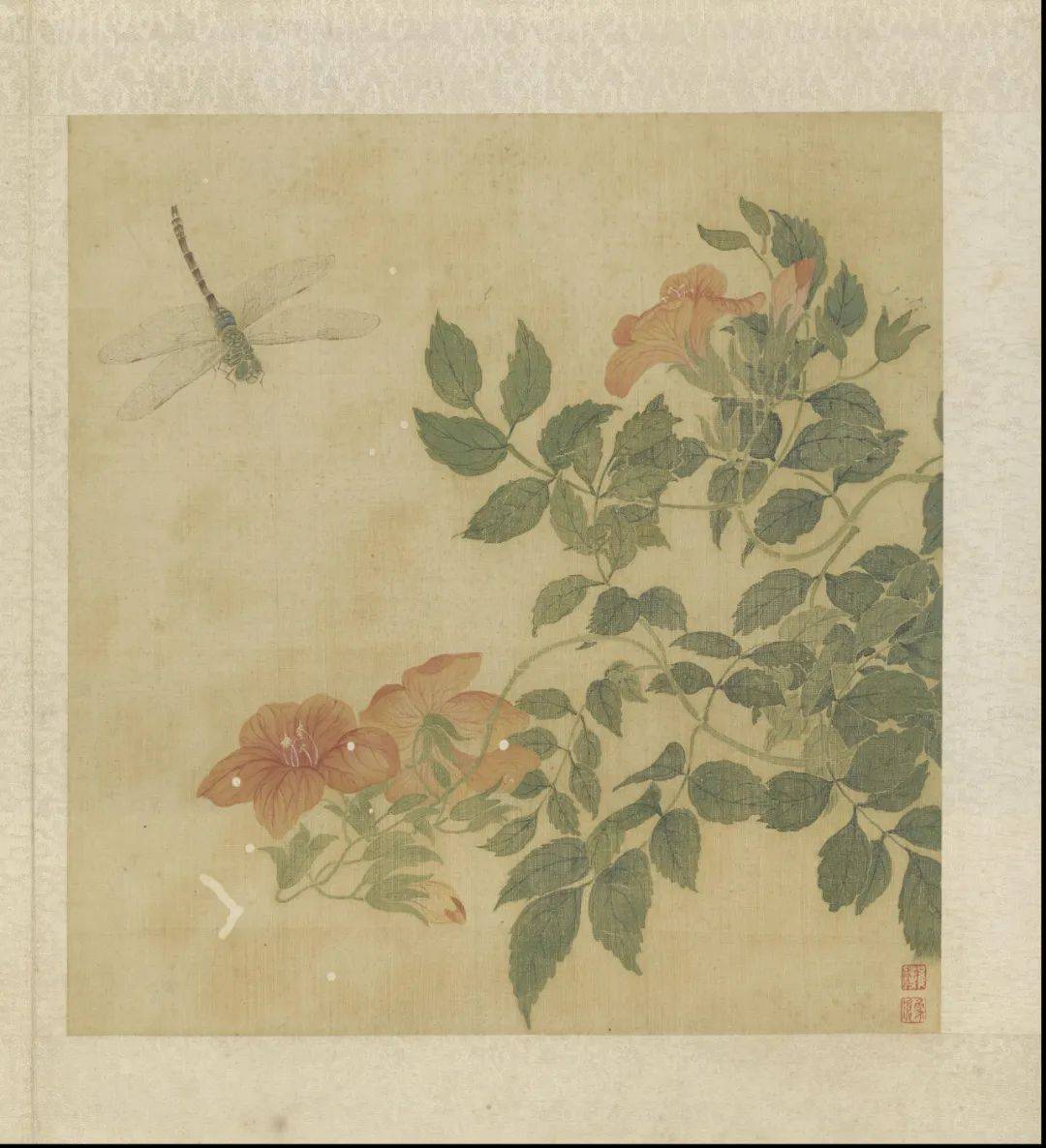 花卉畫冊 畫花卉冊- 故宮