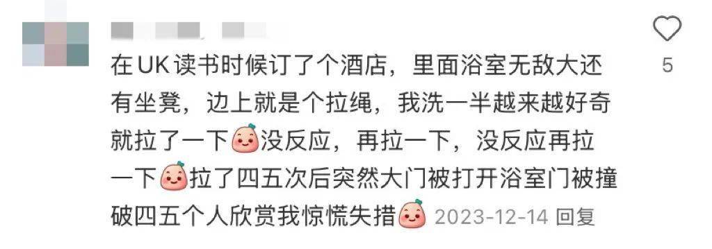 图片[14]-你永远想象不到人在国外旅游能捅多大的娄子 -华闻时空