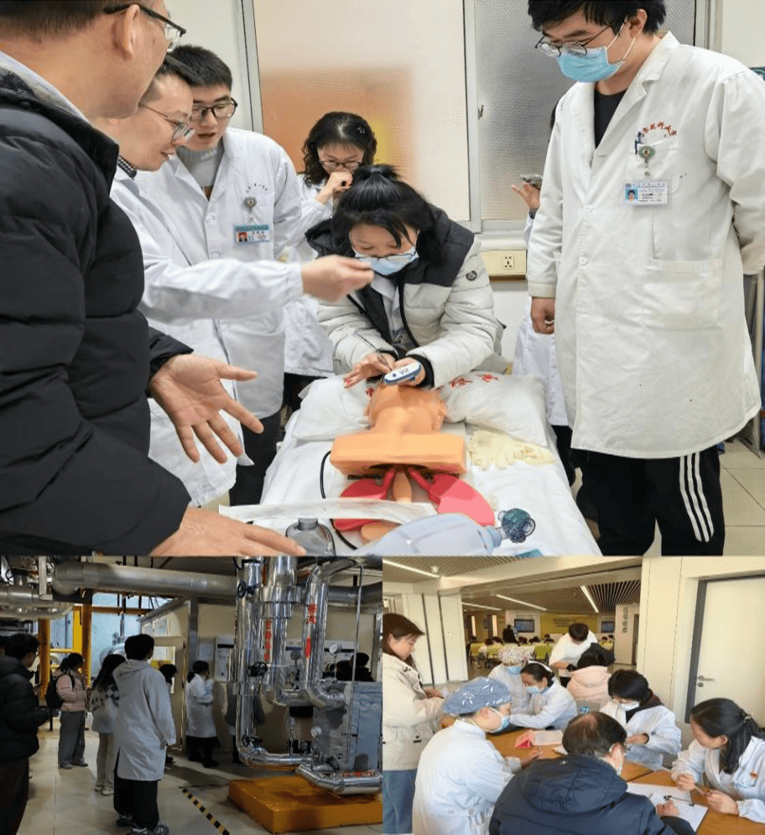 包含北京中醫(yī)藥大學附屬護國寺中醫(yī)醫(yī)院黃牛專業(yè)運作住院，解決您排隊的煩惱的詞條