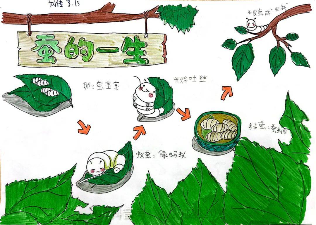 —经开一校四年级"探索生命奥秘"科学学科活动