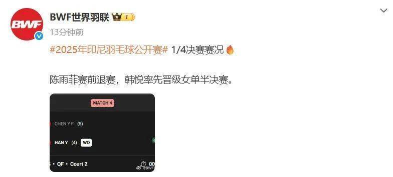 陈雨菲因伤退出2025印尼羽毛球公开赛，发文详解伤情与未来计划
