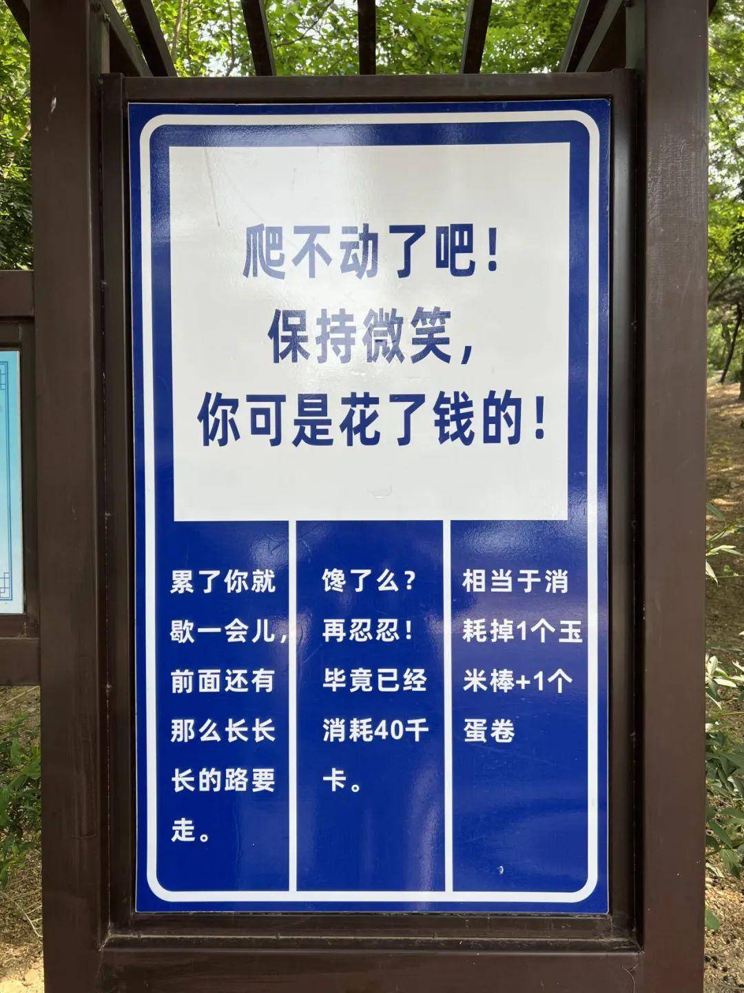 网友:山上的笋被你夺完了!官方:没错,是我们干的