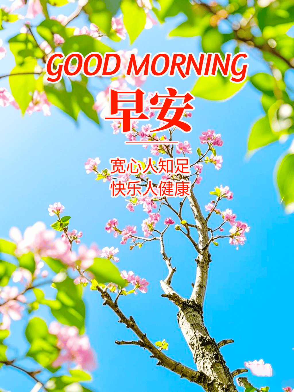 18张2025今日最新版特漂亮的早上好精选图片祝福_搜狐网