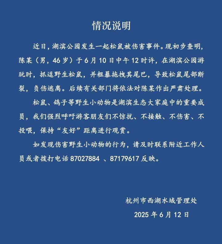 杭州通报西湖边松鼠被损伤事情：将对涉事男人作出严肃处理