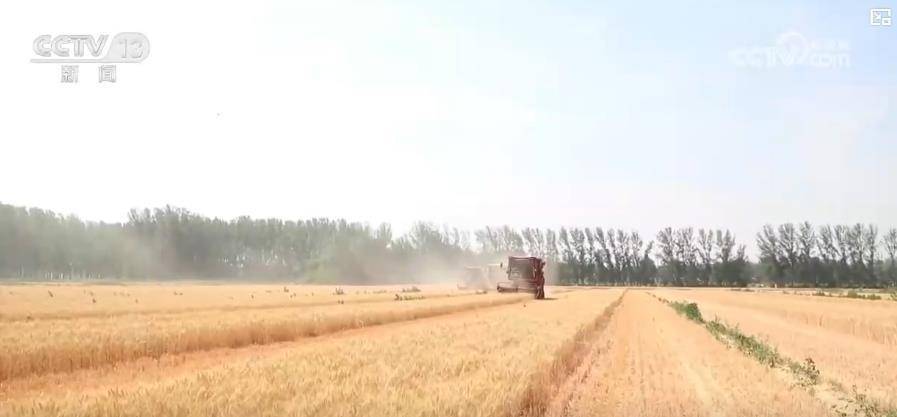 新装备助力“三夏”跑出“加速度” 秋粮丰产丰收基础牢