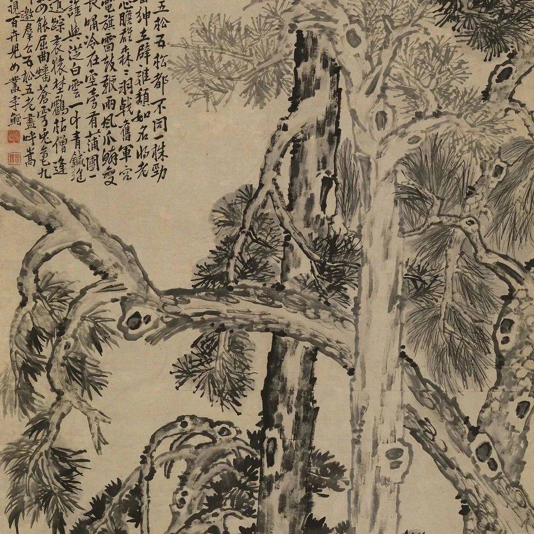赏画 | 李鱓《五松图》_树之_余画_电旗
