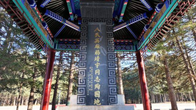 蓝血中的Artemisia Annua持续了两千年 - 拜访Yang Ji
