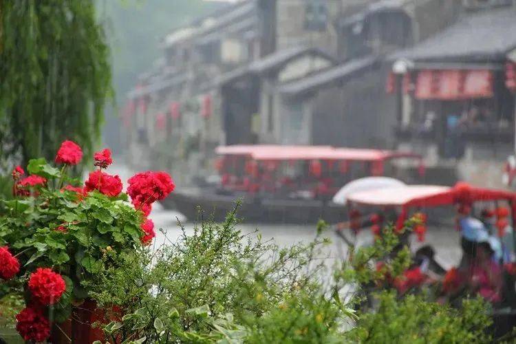 【乐游】雨季限定浪漫！乘船体验烟雨江南→_【乐游】雨季限定浪漫！乘船体验烟雨江南→_
