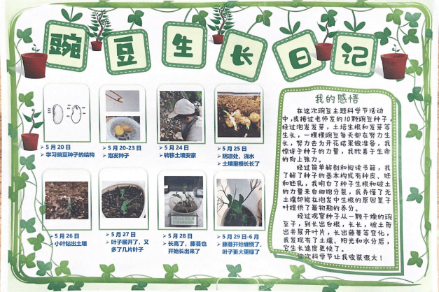 3,通过自编自导,用稚嫩的童声讲述着豌豆生长的趣事,评选"最佳故事奖"