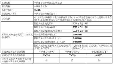 2025年6月16日起！中欧瑾泰债券型基金申购金额限制超百万