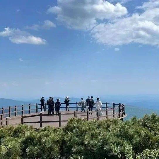 五常市举办凤凰山“云顶花海”高山杜鹃观赏周活动_文旅_游客_景区