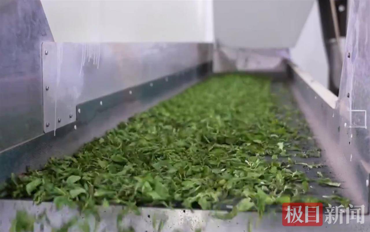 宜昌茶叶出口_宜昌出口企业排名_