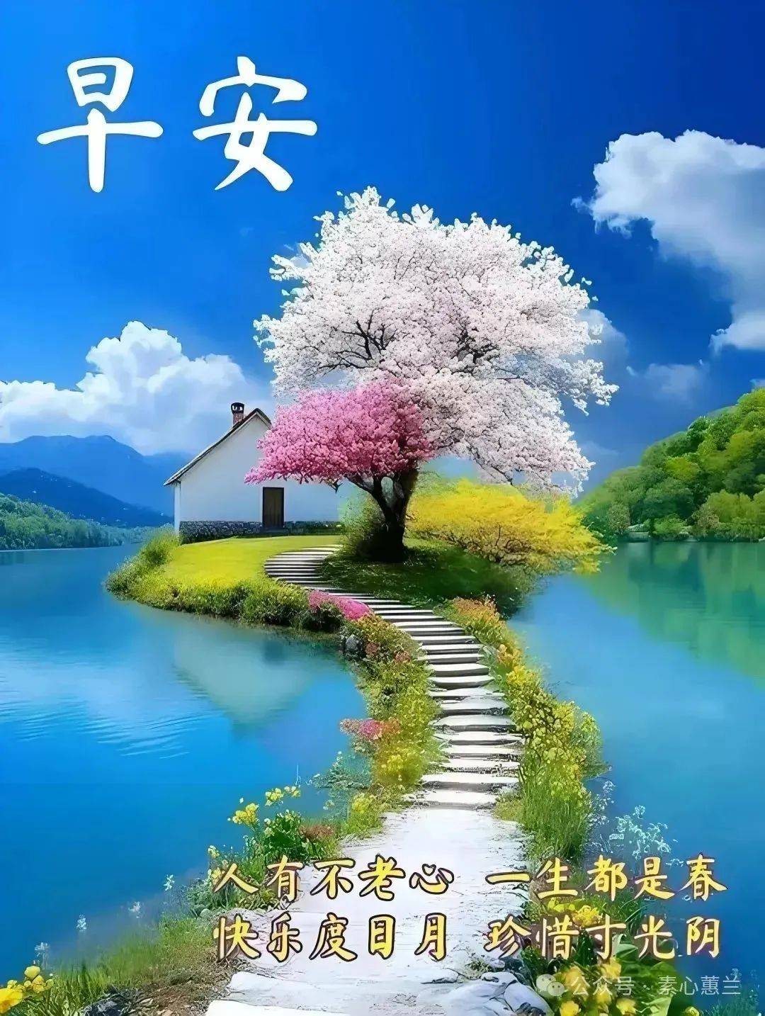 早安唯美图片早上好祝福语,愿清晨第一缕阳光,照亮你一路幸运!