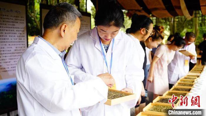 百城百艺2025首届蒙顶黄茶杯四川黄茶斗