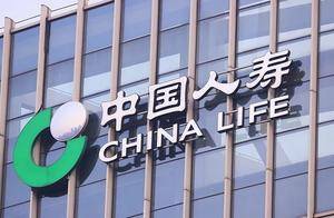 中国人寿集团董事长蔡希良：探索险资与政府基金接力投资模式