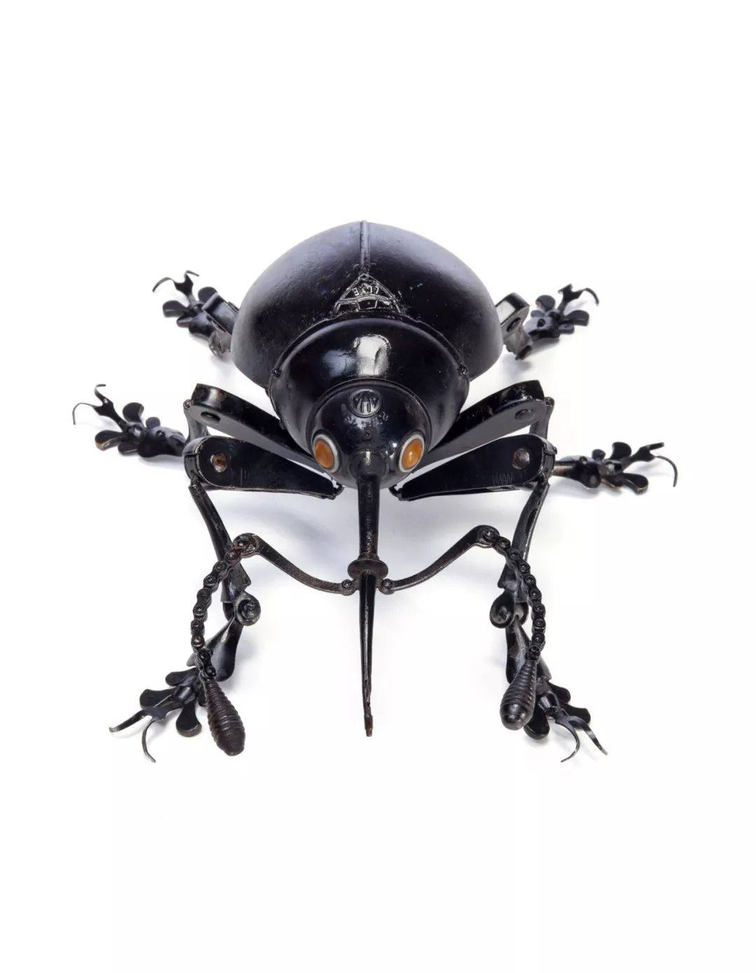 tiger beetledragonflyblack swiftrose beetlebrown striped beetle