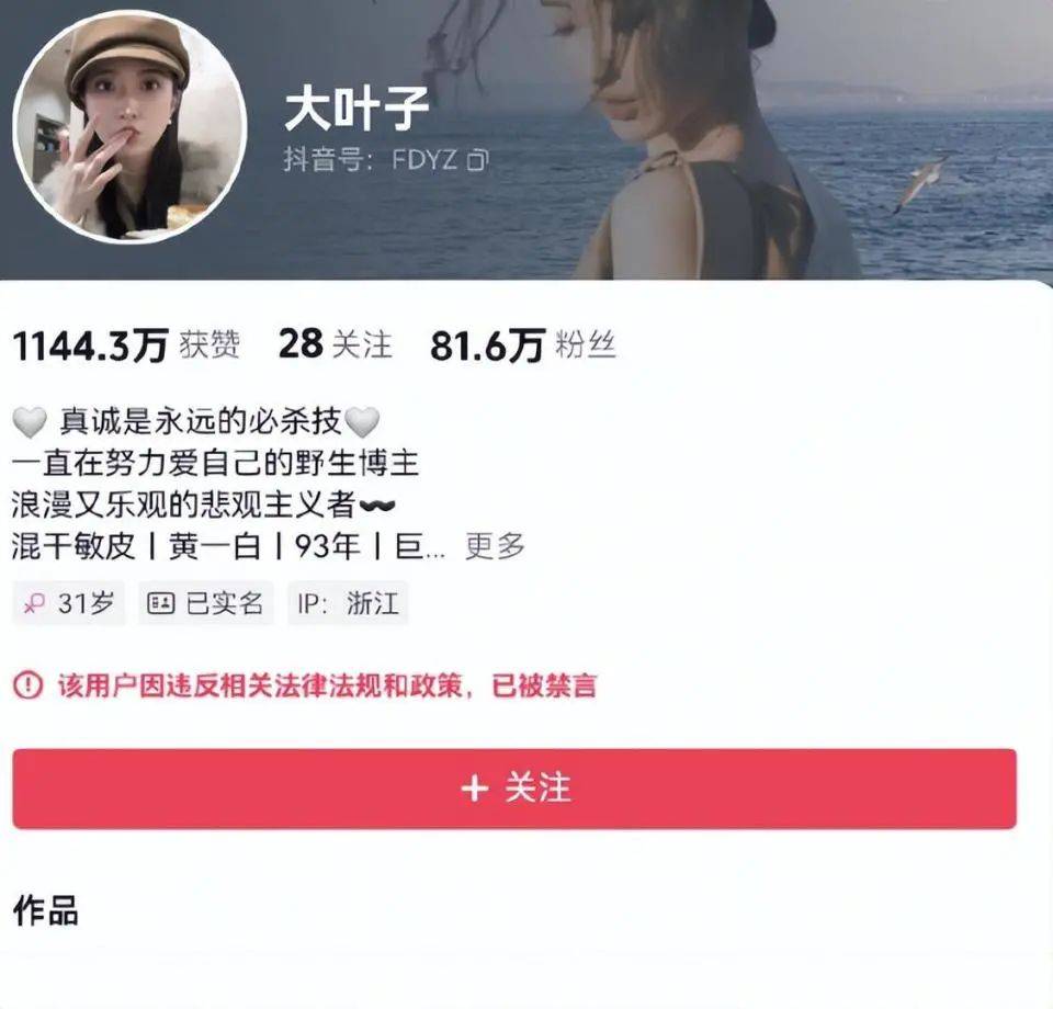 家中一年电费超40万元！千万粉丝网红大蓝的妻子晒豪宅引争议，已被禁言