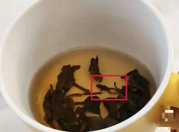 奈雪的茶被曝喝出青蛙�，公司回应
：已和顾客洽谈处理完毕