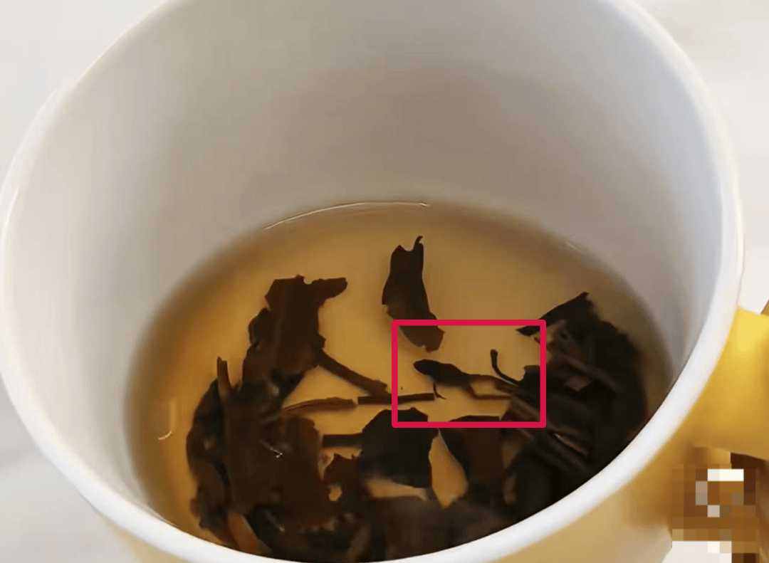 奈雪的茶被曝喝出青蛙
，当事人：差点喝进嘴里，商场监督管理局已介入