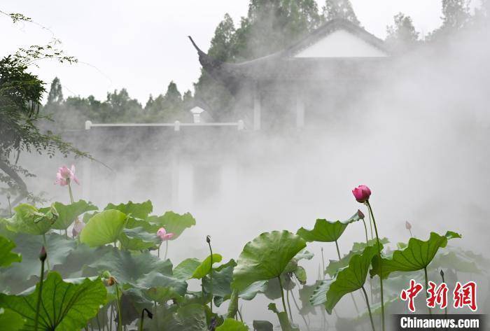 沛县新正路两侧范围_7下几何题_