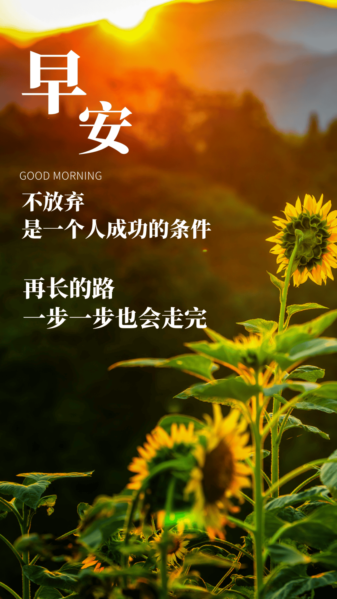 人生正能量句子(人生正能量句子带图片 人生感悟)
