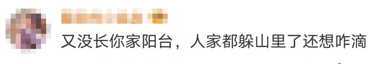 696969大但人文艺术价值:大片连根铲除！深圳一公园“火速响应”引质疑，网友为它喊冤