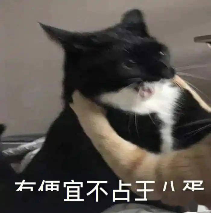 新车全打7折卖，这0公里二手车为啥这么香？
