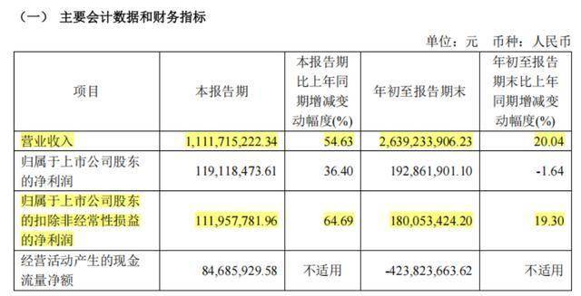 27亿元现金失血、57亿元负债高悬 媒体质疑至纯科技财务造假(图15)