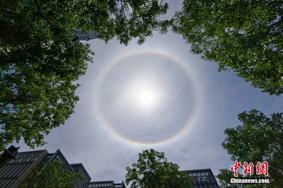 溺宠娇宝贝:上海天空现巨大日晕 光圈完整清晰