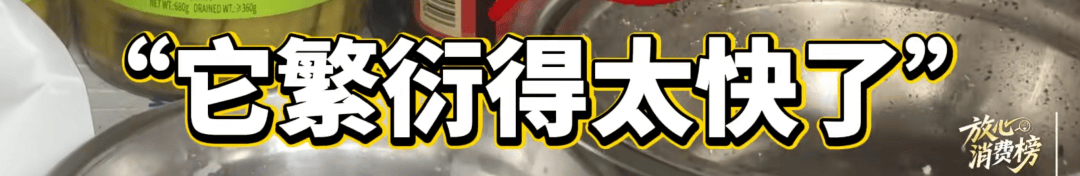 知名品牌牛约堡被曝污垢结块、蟑螂横行 网友:正在吃,哭了(图7)