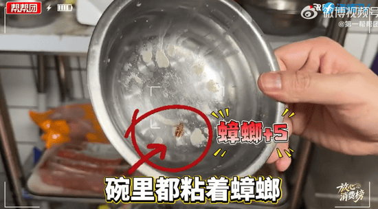 知名餐饮品牌牛约堡被曝后厨蟑螂横行：成本5元