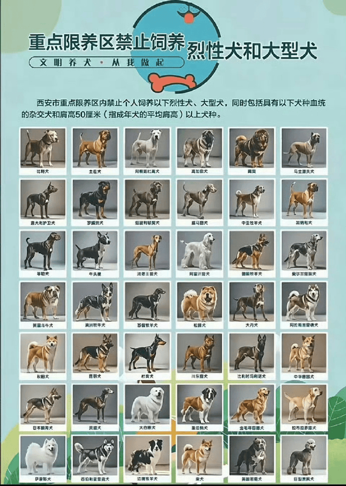 红楼之仁心:广州等多地，已解禁土狗